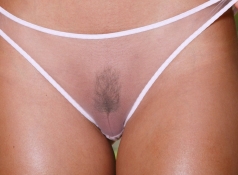 Culotte érotique complètement transparente