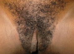 Chatte poilue black