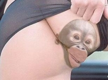 Oh le joli petit singe - Humour sexy