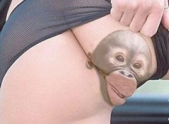 Oh le joli petit singe - Humour sexy