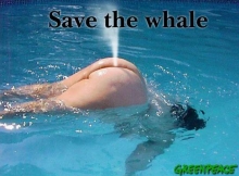La baleine des piscines - Humour sexy