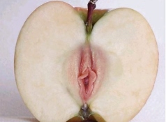 Pomme en forme de chatte - Humour sexy