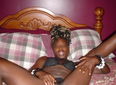 Exhib chatte black