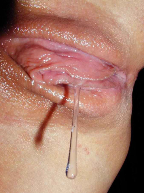 Chatte mouillee 40