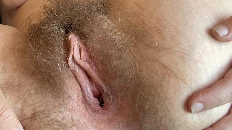 Chatte offerte