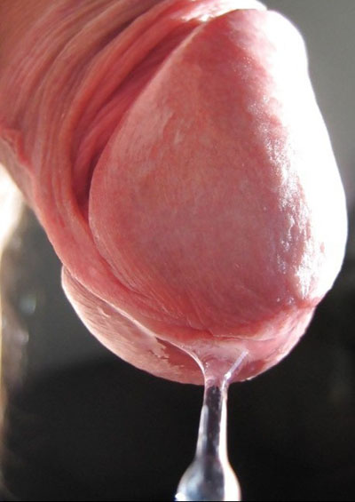 gland qui coule de sperme