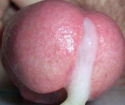 gros gland qui gicle