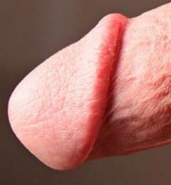 Photos de grosses bites