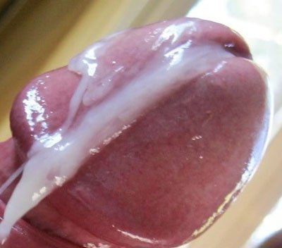 sperme gland
