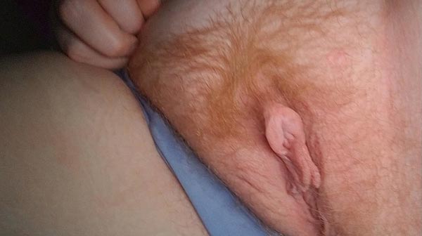 Chatte poilue rousse